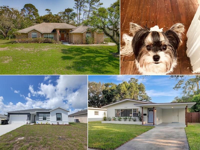 Orlando Realtor Kris Charles