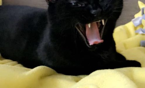 Edward Jones - Financial Advisor