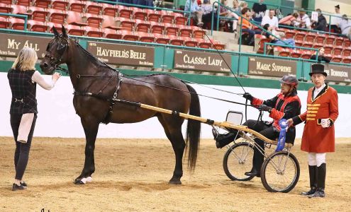 Doug Shiflet Photography