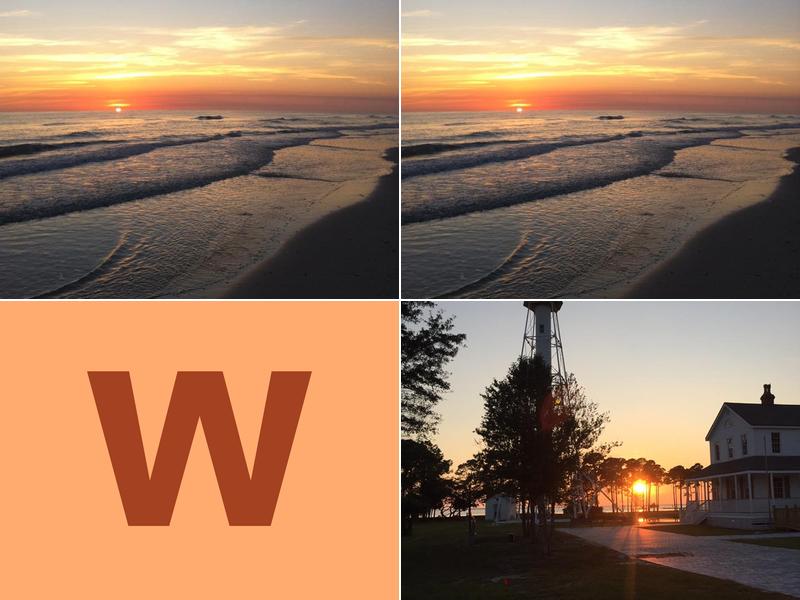 Williams Plumbing Services Inc