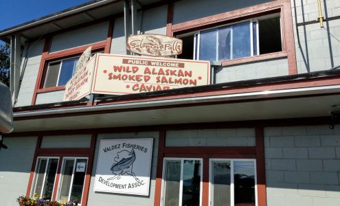 Solomon Falls Valdez