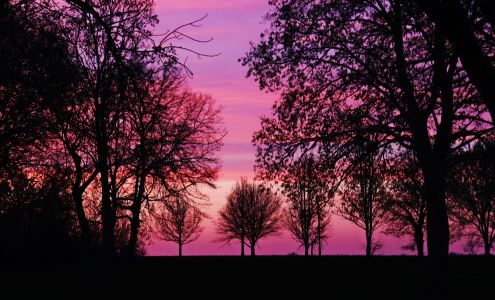 Moments by Hart Photography