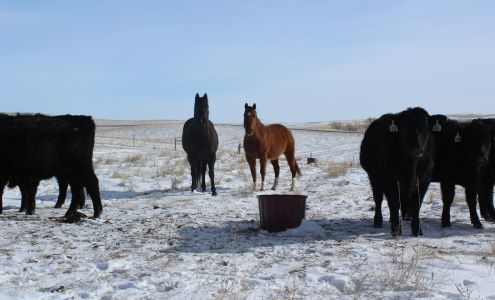 OLS Tubs Fort Macleod