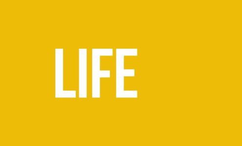 Texas Car Title and Payday Loan Services, Inc.