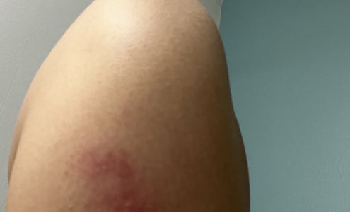 Neel Thredz Spa | Eyebrow Threading & Tinting | Beauty Salon in Ashland