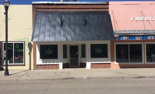 The New Amsterdam Lakeview