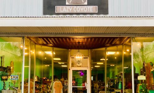 Lazy Coyote Alva