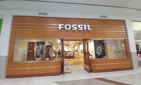 Fossil Store