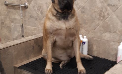 Pet Valu 500 2 Ave W #200, Prince Rupert British Columbia V8J 3T6