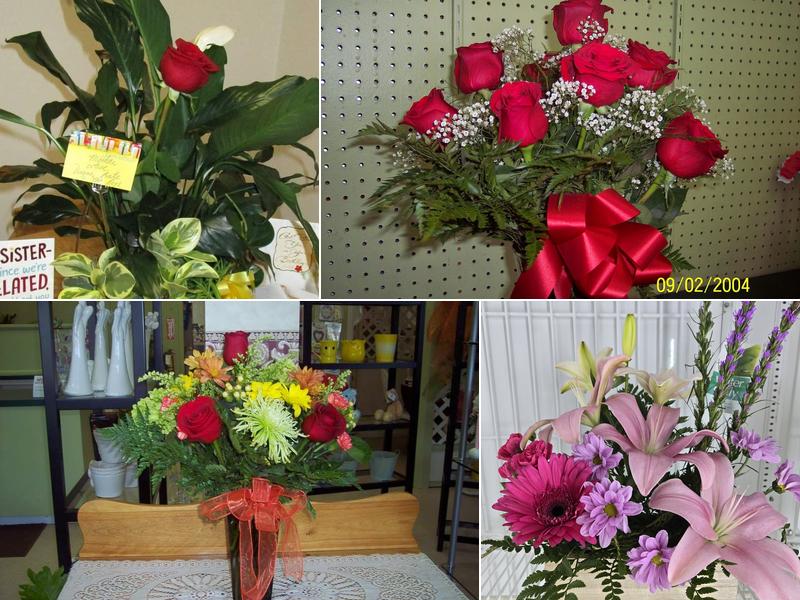 Elm Gardens 1988 Ltd