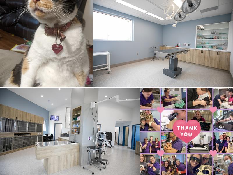 Amherst Veterinary Hospital