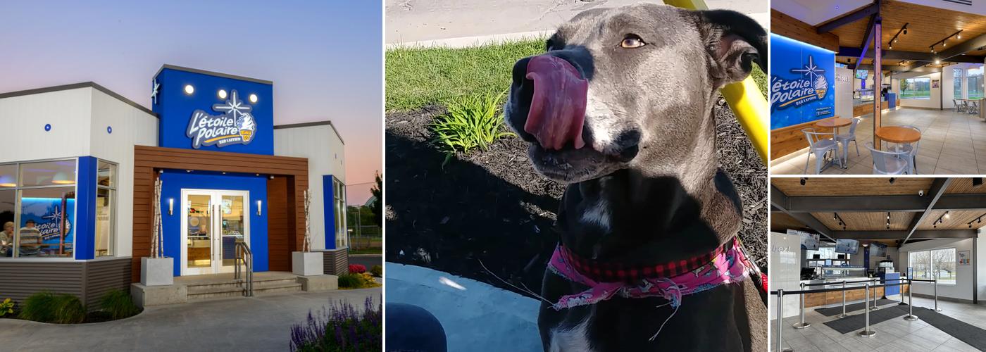 Milk Bar The Polar Star