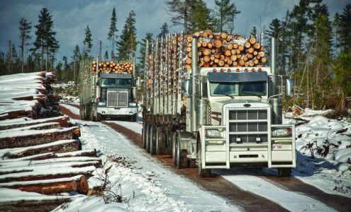 NAPA Auto Parts - Unified Auto Parts Inc.