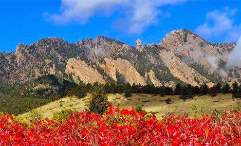 Jim Thomas - RE/MAX Alliance