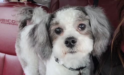 Paws Stop Grooming Shop 1444 2 St E, Prince Albert Saskatchewan S6V 0H5