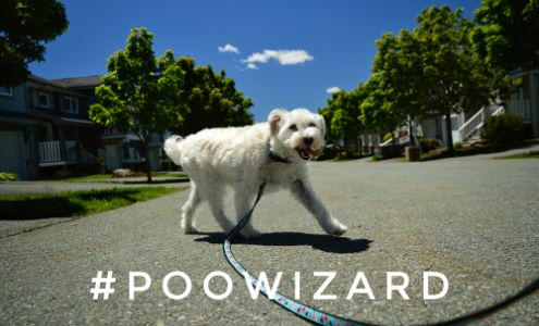 Poo Wizard