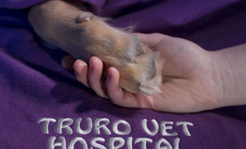 Truro Veterinary Hospital