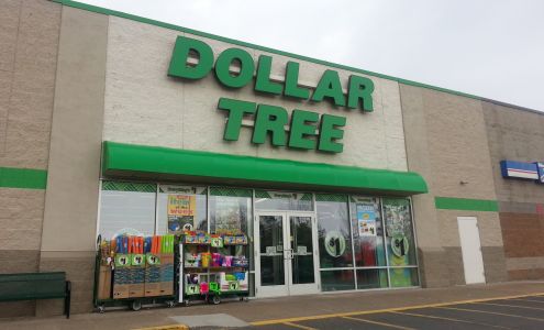 Dollar Tree Pine City