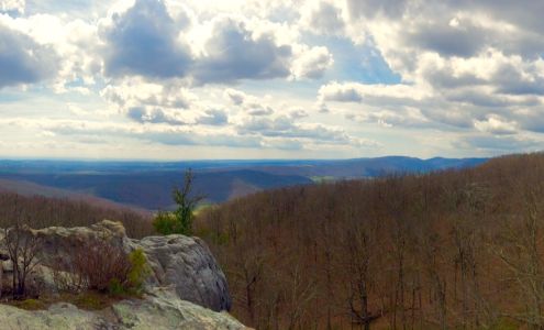 Wakefield Venture Group