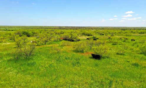 Davis Vernon Real Estate | Farm & Ranch Brokerage 1011 Hillcrest Dr, Vernon Texas 76384