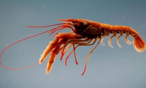 Mc Cook Senior High School