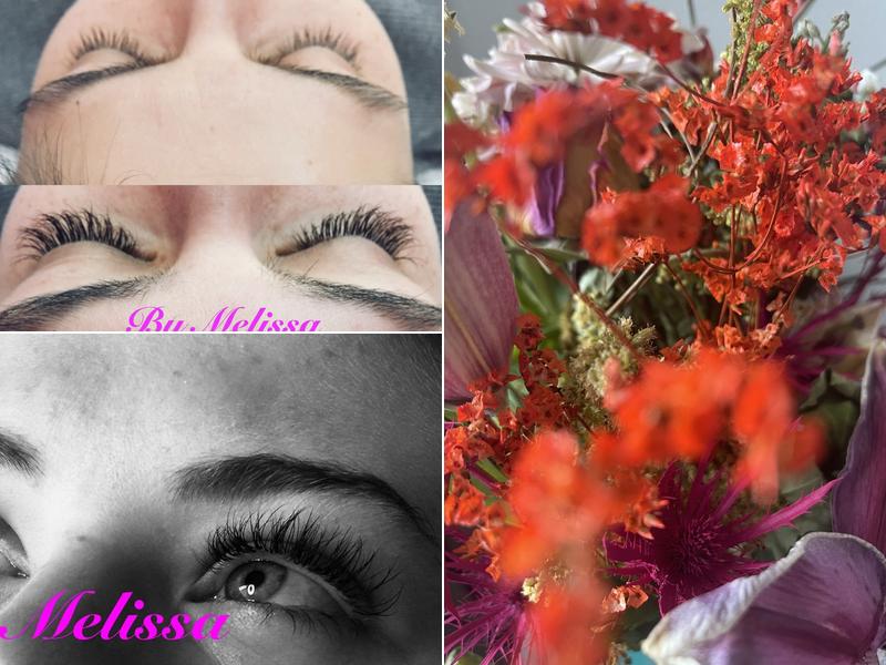 Lash & Wax of Boulder