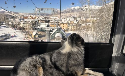 Anne-Britt Ostlund | Mountain Rose Realty 220 E Colorado Ave #210, Telluride Colorado 81435