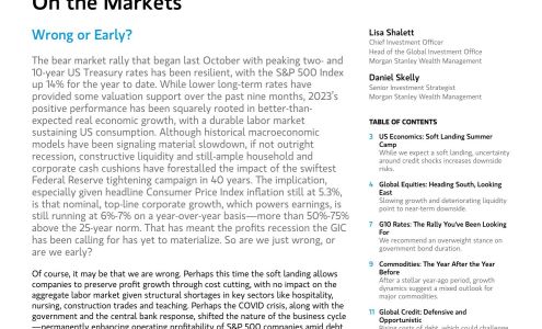 Steven Szmak - Morgan Stanley