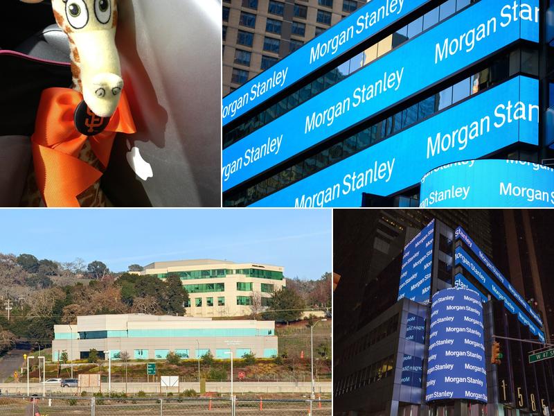 The Round Barn Group - Morgan Stanley