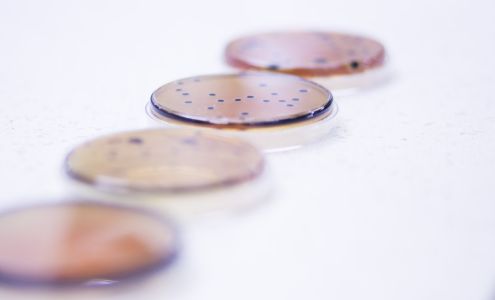 Anresco Laboratories