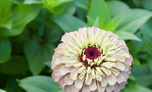 River Road Botanicals