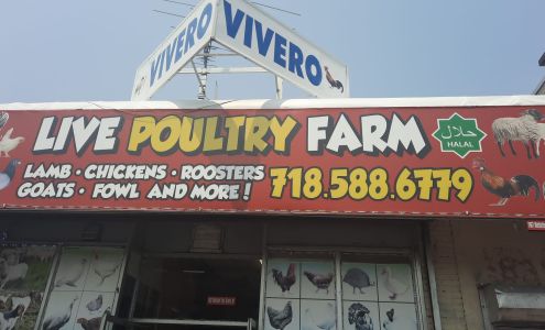 Vivero Live Poultry Farm