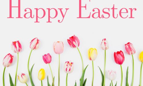 Re/Max Royal Gorge-Myra Smallwood