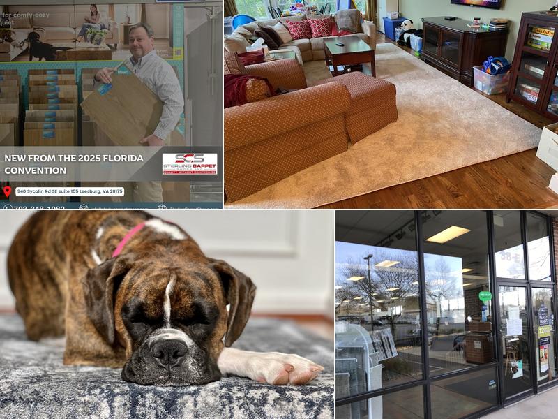 Sterling Carpet Shops Inc