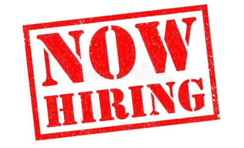 Plumber 951 Park Ave, Roanoke Rapids North Carolina 27870