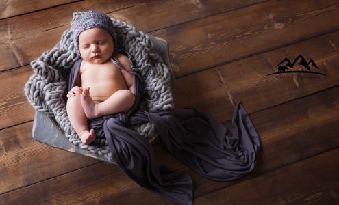 Little Bear Photography LLC