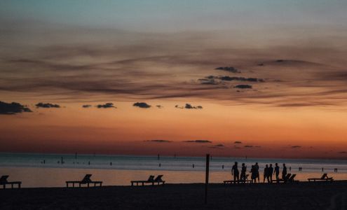 Master's Touch Magnolia Photography