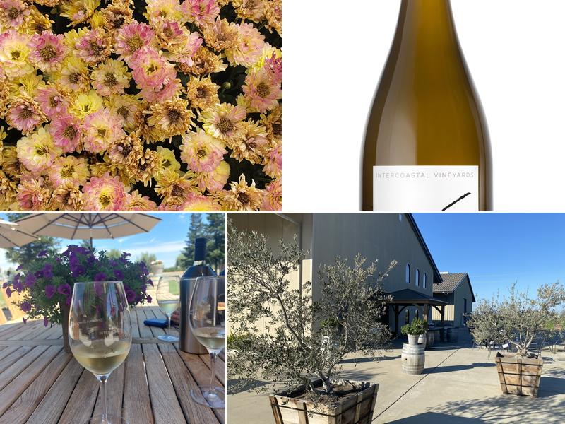 Intercoastal Wine Company 13731 N Hwy 88, Lodi