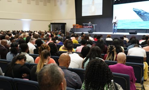 Impact Church of The Woodlands