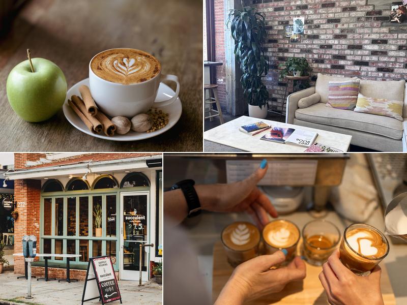 Succulent Coffee Roasters