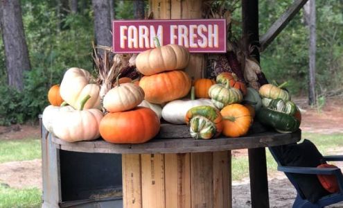 Herrington Brothers Farm 685 Nelsons Corner Rd, Vienna Georgia 31092