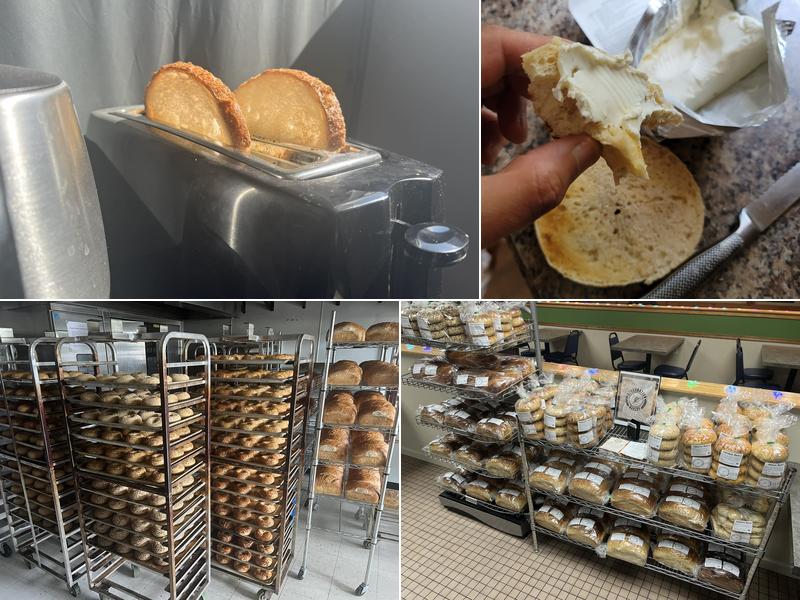 DoughNation Bakery 7975 Spring Arbor Rd, Spring Arbor