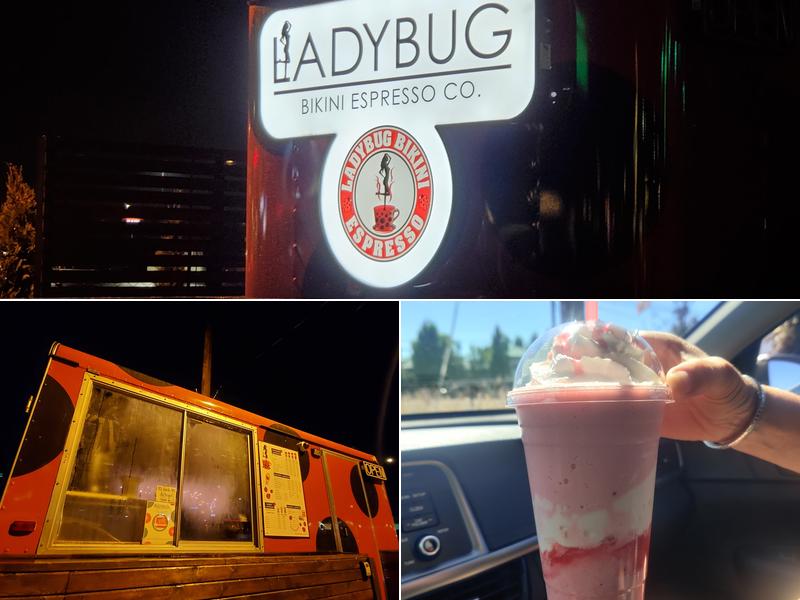 Ladybug Espresso Hazel Dell