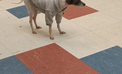 Maple Street Laundry