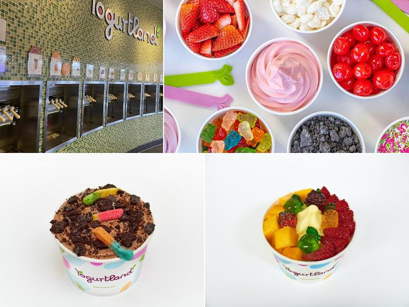 Yogurtland Fair Oaks