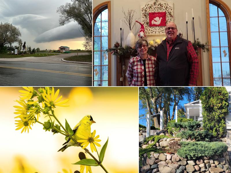 Wild Juniper Nursery