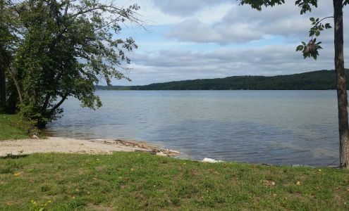 Trees North Outdoor Services Bellaire