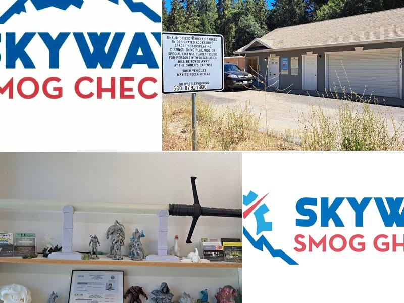 Skyway Smog Check