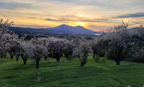 ThompsonGas Lower Lake