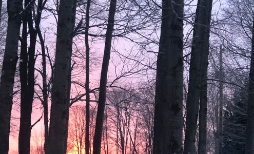 Indian Lake Realty -Serving Seller & Buyers 237 S Shore Trail, Central City Pennsylvania 15926